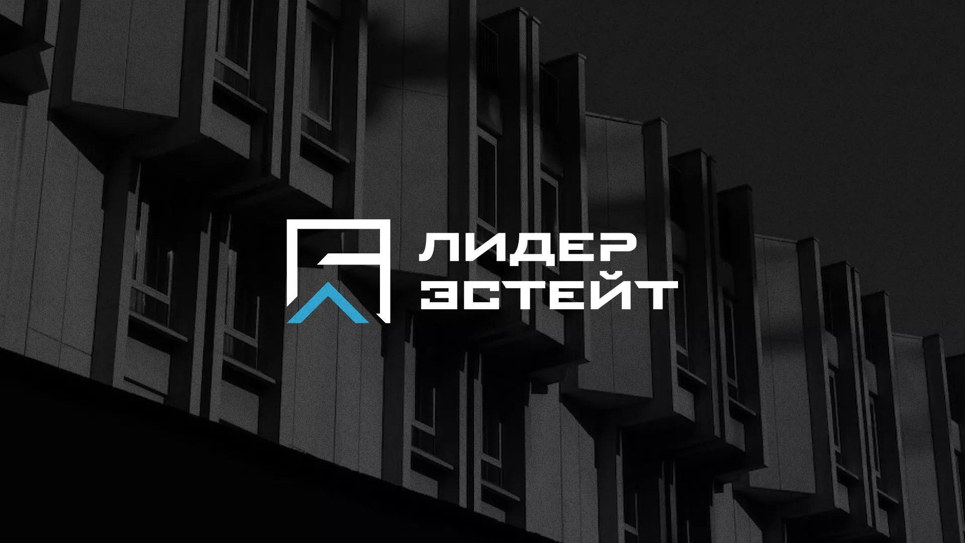 Разработка логотипа агентства недвижимости «Лидер Эстейт» в Покровске